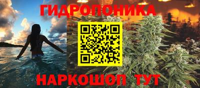 дмт Славянск-на-Кубани